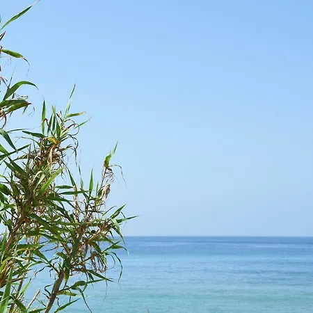 La Yeguada 자호라