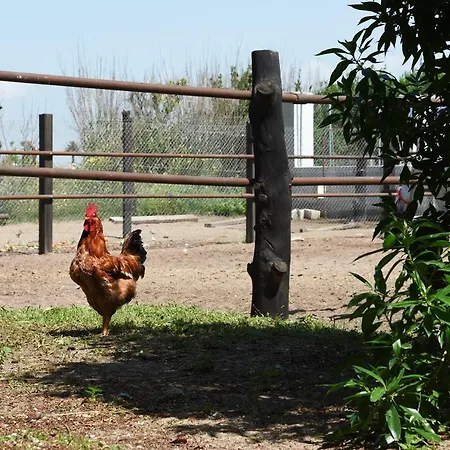 La Yeguada Zahora